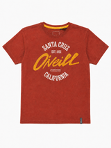 O’Neill Easy Going SS Tee - Burnt Henna